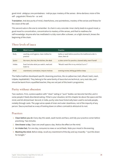 Yamas & Niyamas: Yoga Ethics for Daily Life — Sample page 28 of 47 — table
